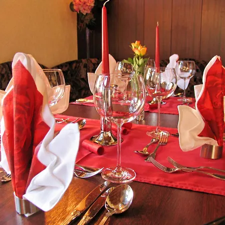 Wettin Hotel Treuen